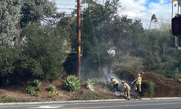 Heavy Winds Cause Power Outages, Downed Trees on Christmas Eve